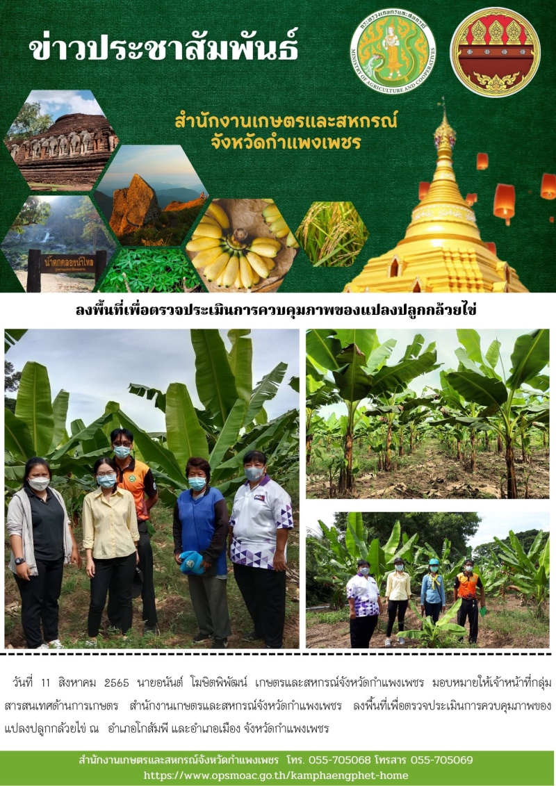 ลงพื้นที่เพื่อตรวจประเมินการควบคุมภาพของแปลงปลูกกล้วยไข่