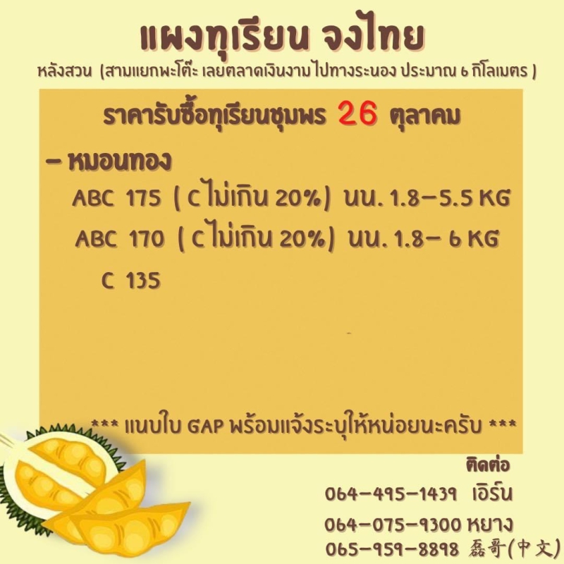 ราคารับซื้อทุเรียน วันที่ 26 ตุลาคม 2565