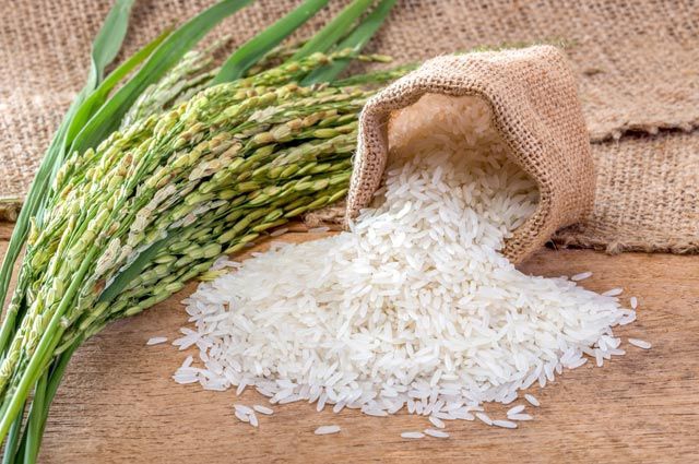 Thailand rice production, exports to rise