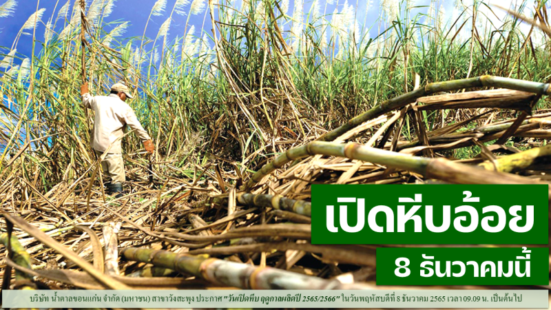 KSL-Group แจ้งกำหนด วันเปิดหีบอ้อย ในฤดูกาลผลิต ปี 2565/2566
