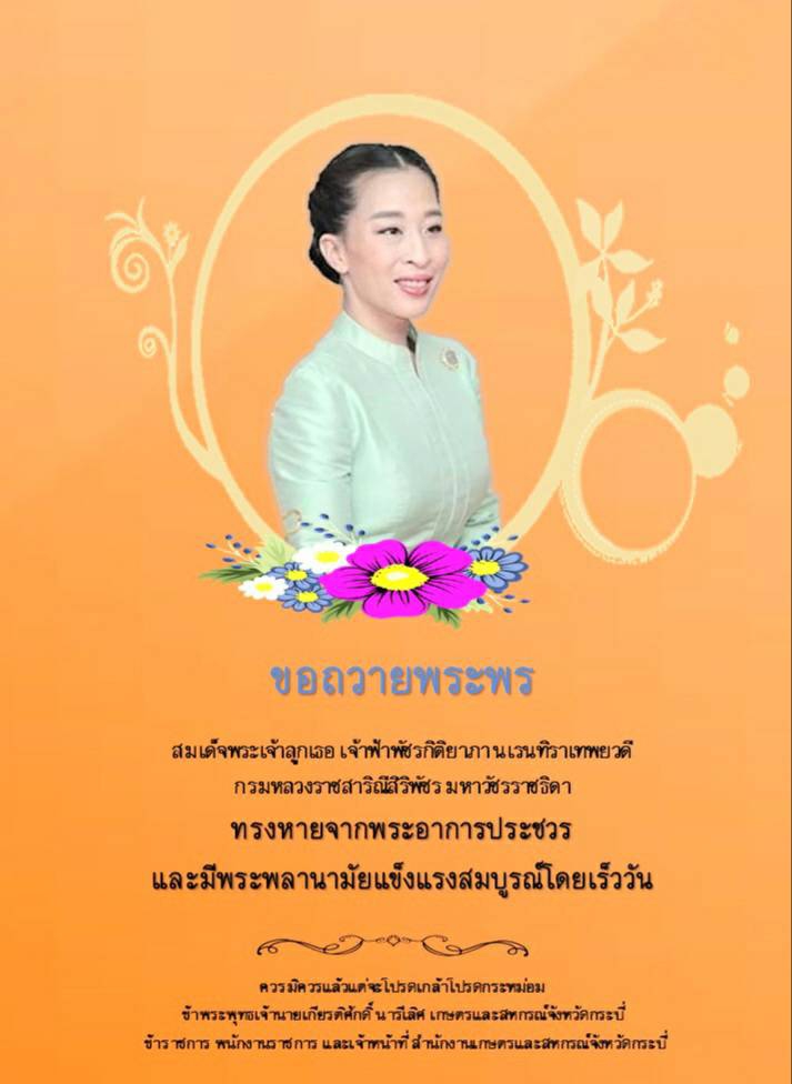 ขอถวายพระพรสมเด็จพระเจ้าลูกเธอ