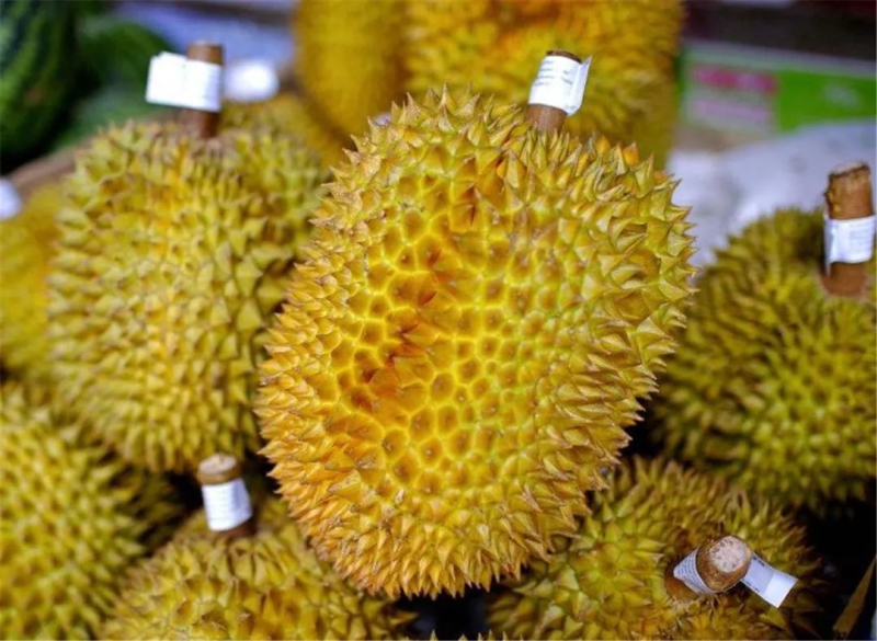 泰国更新GAP认证，严禁盗用GAP进行水果出口