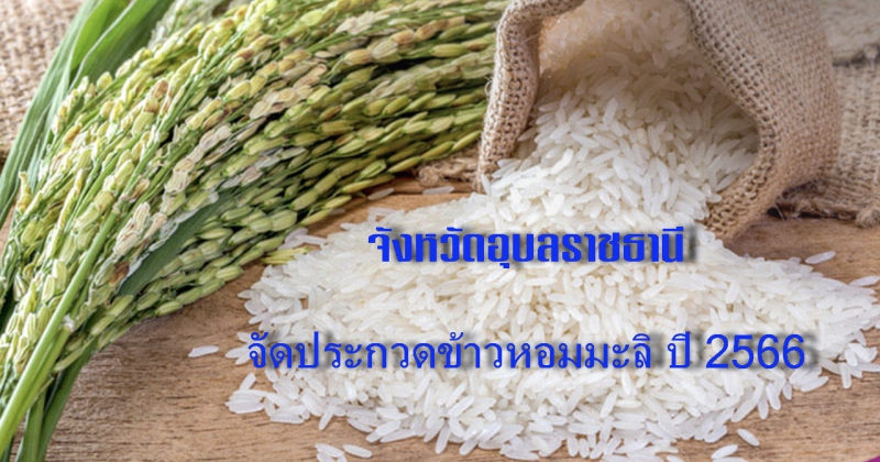 การประกวดข้าวหอมมะลิจังหวัดอุบลราชธานี ปี 2566