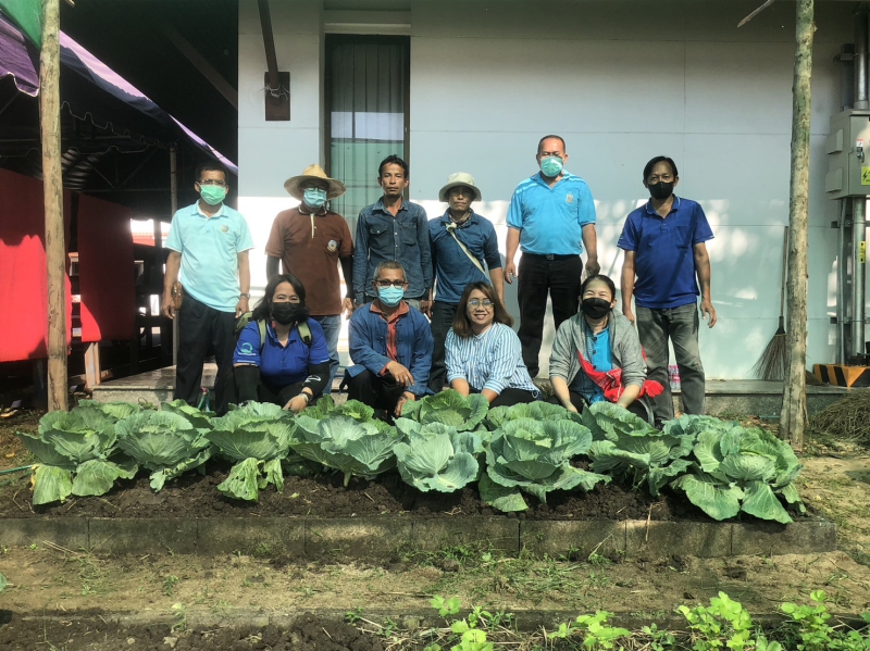 กิจกรรมปลูกผักสวนครัว