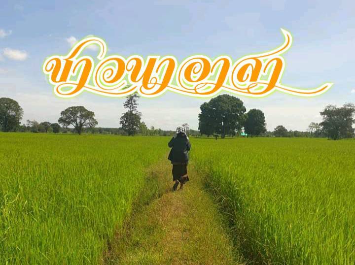 มาสมัครเป็น ชาวนาอาสา กันเถอะ