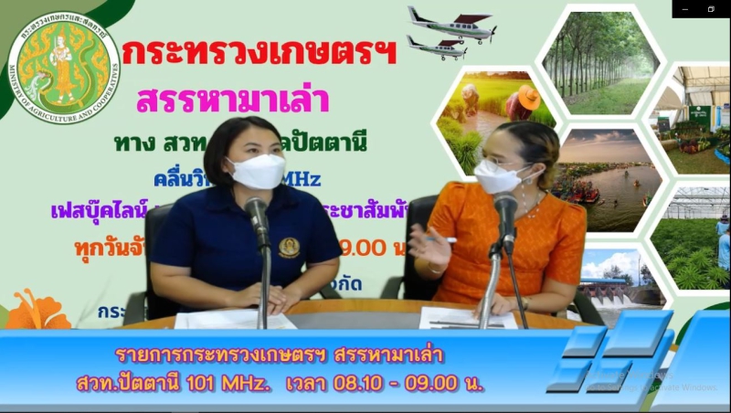 660123สำนักงานเกษตรและสหกรณ์จังหวัดปัตตานี