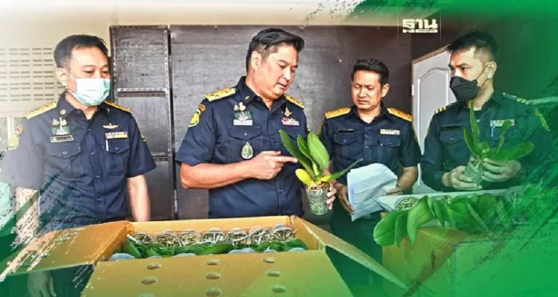 กรมวิชาการเกษตรรับลูก