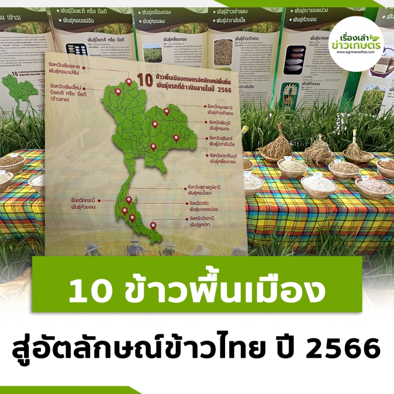 10 ข้าวพื้นเมือง สู่อัตลักษณ์ข้าวไทย ปี 2566