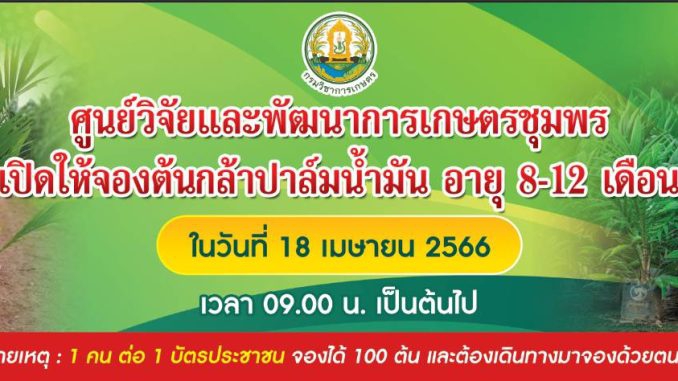 เปิดให้จองต้นกล้าปาล์มน้ำมัน อายุ 8-12 เดือน!!!!
