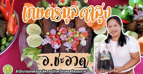 โครงการขับเคลื่อนการเกษตรระดับหมู่บ้านสู่การผลิตสินค้าเกษตรมูลค่าสูง