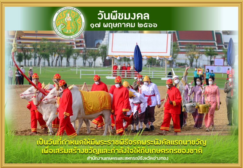 วันพืชมงคล พระราชพิธีพืชมงคล จรดพระนังคัลแรกนาขวัญ