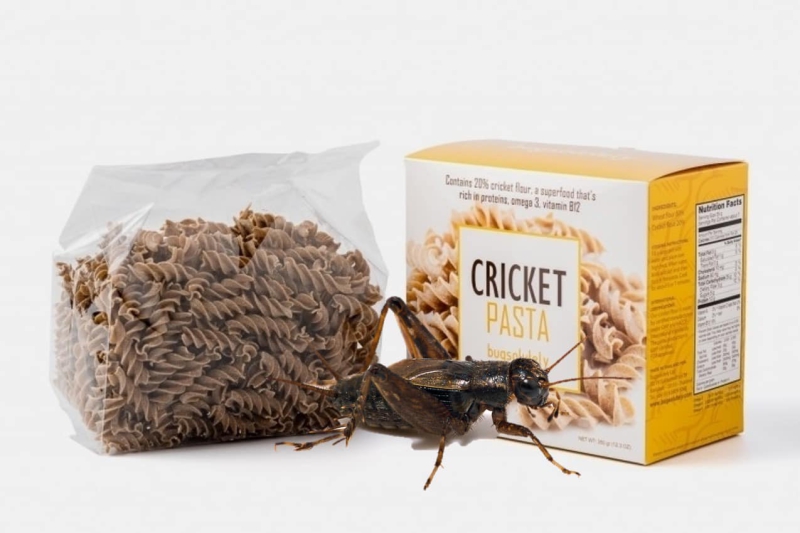 แมลงเป็นอาหารทางเลือกใหม่ในตลาดอิตาลี?