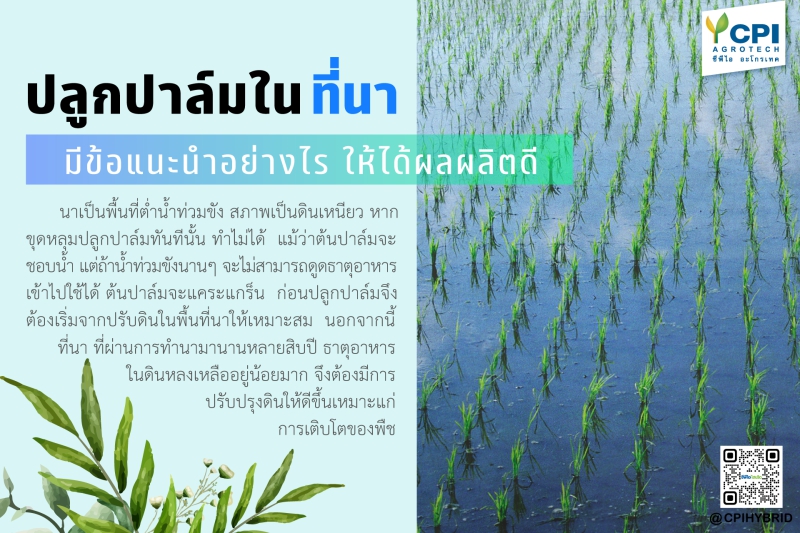 เคล็ดไม่ลับ..จาก ซีพีไอ