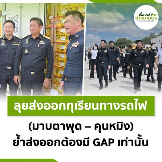 ย้ำ ส่งออกผัก-ผลไม้คุณภาพไทย ต้องมี GAP