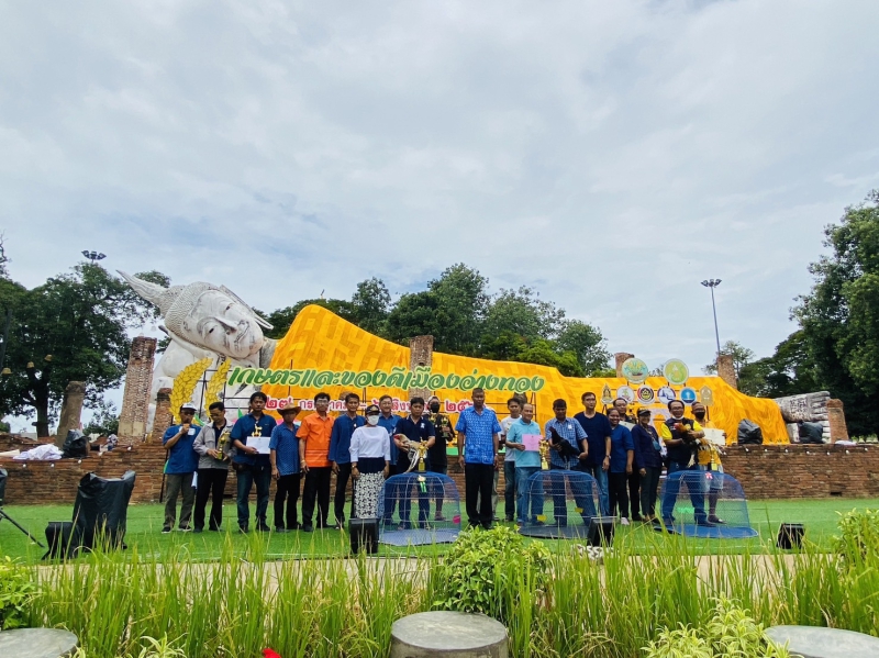 การประกวดไก่พื้นเมือง