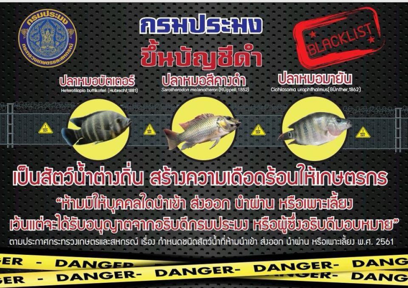 มารู้จัก3สายพันธุ์ปลาต้องห้าม