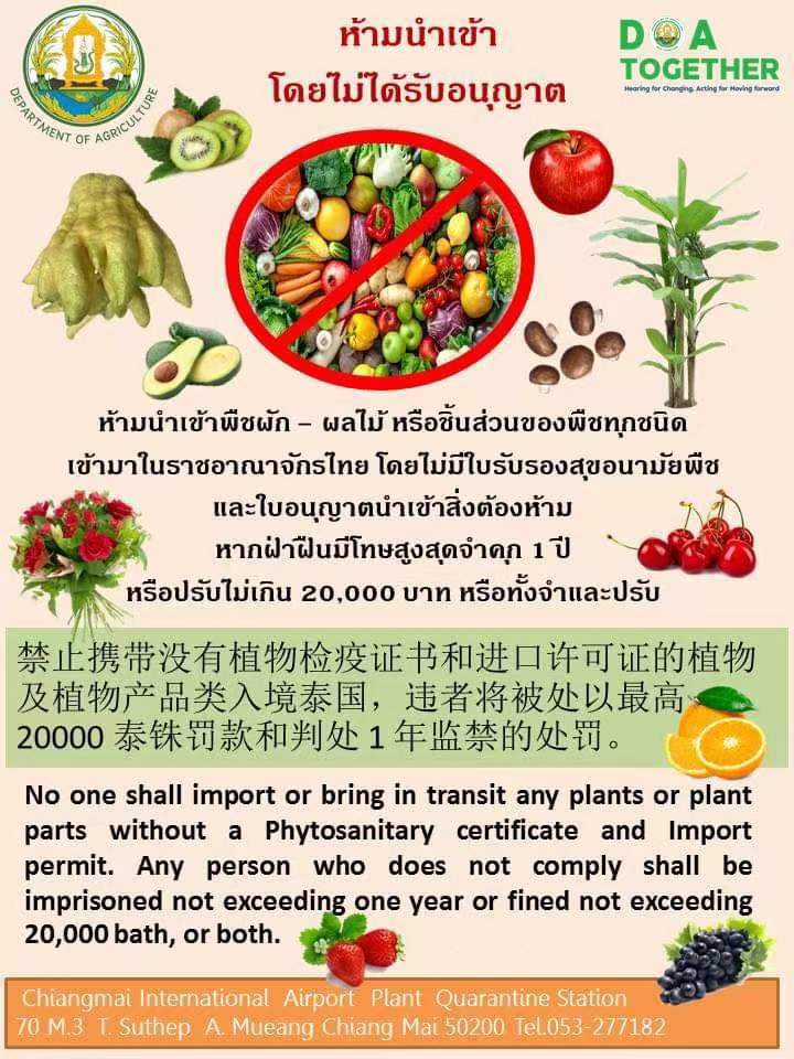 ห้ามนำเข้าพืชผัก-ผลไม้