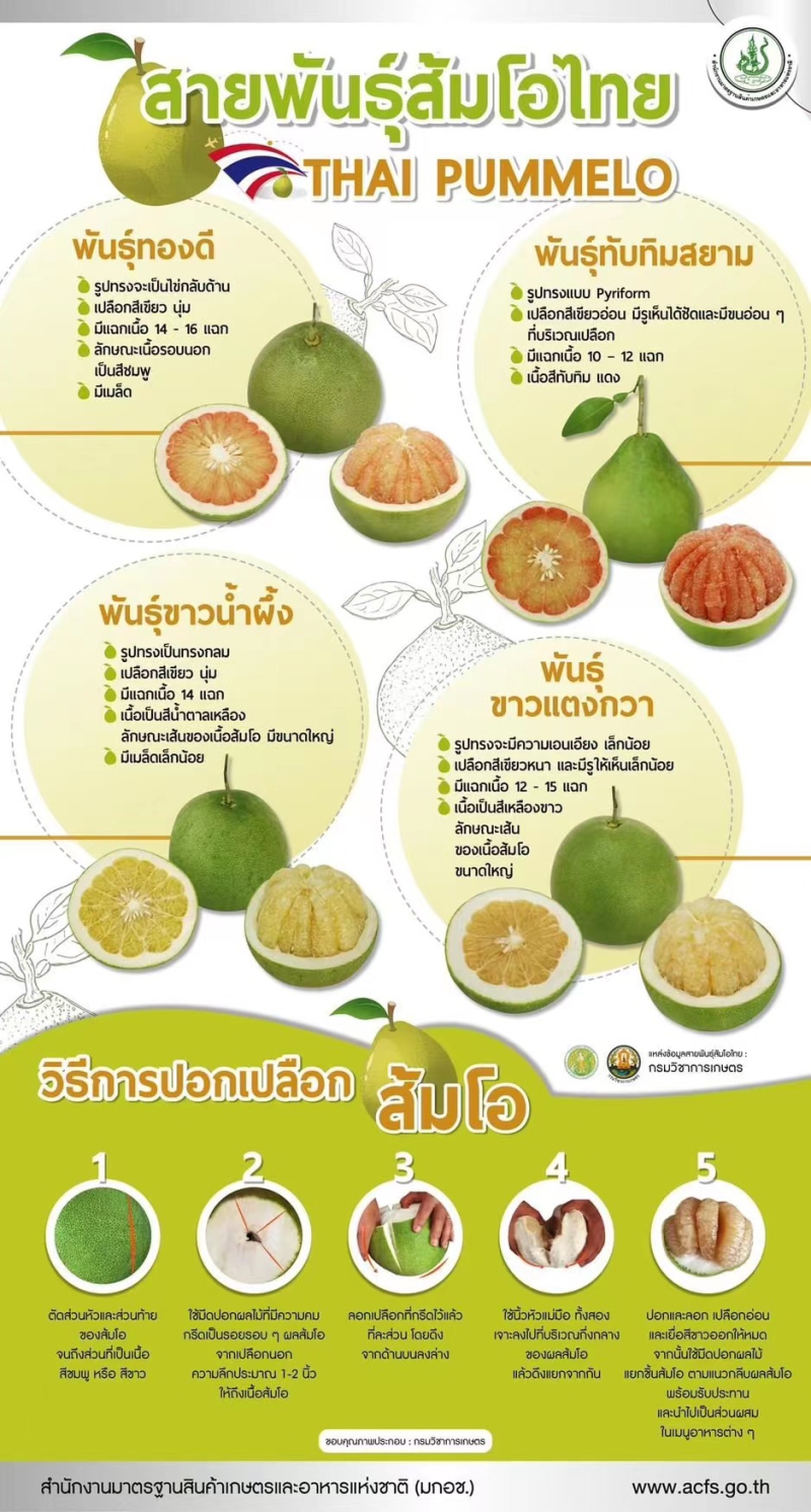 สายพันธุ์ส้มโอไทย
