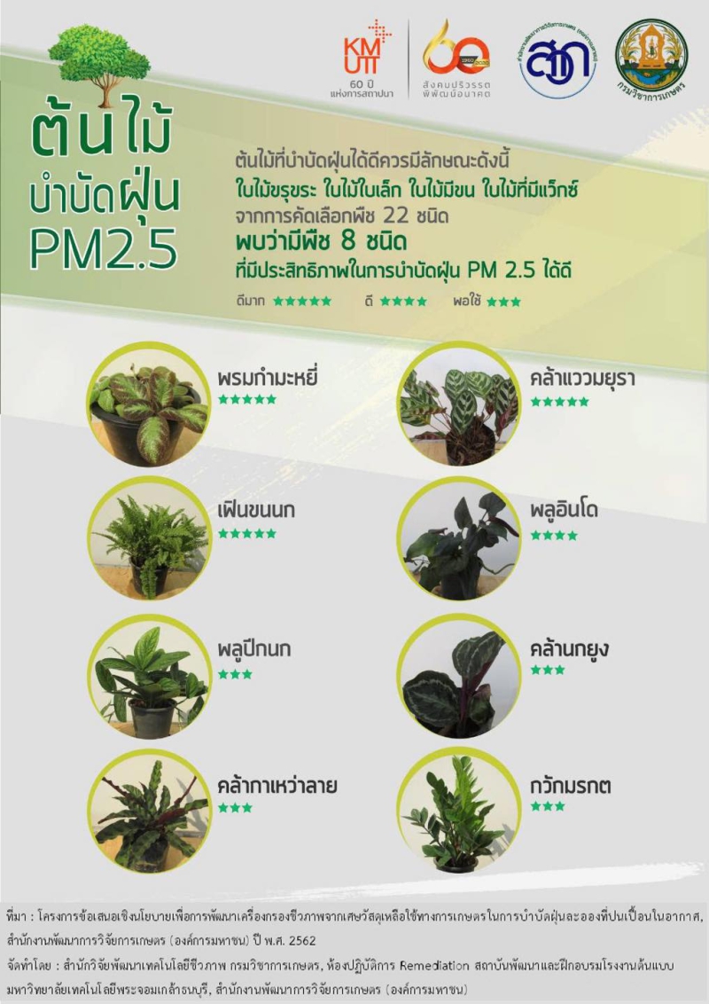 มารู้จักต้นไม้บำบัดฝุ่น PM2.5