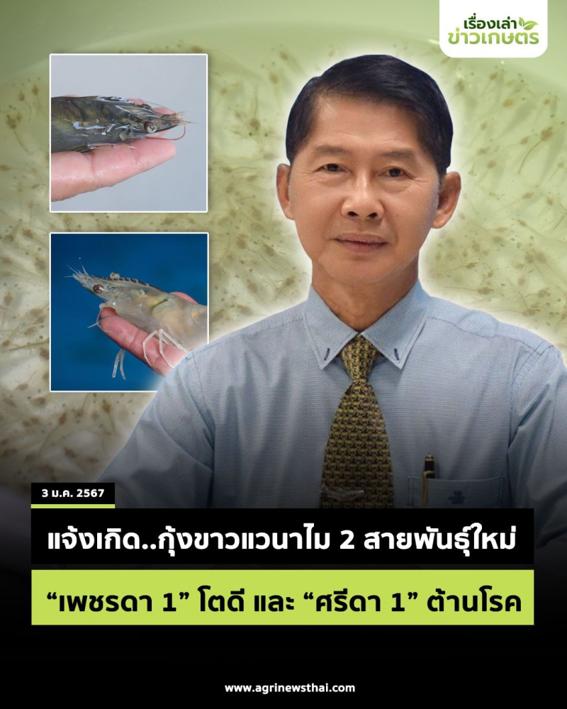 กรมประมงจับมือสวก.ร่วมพัฒนางานวิจัยด้านการประมง