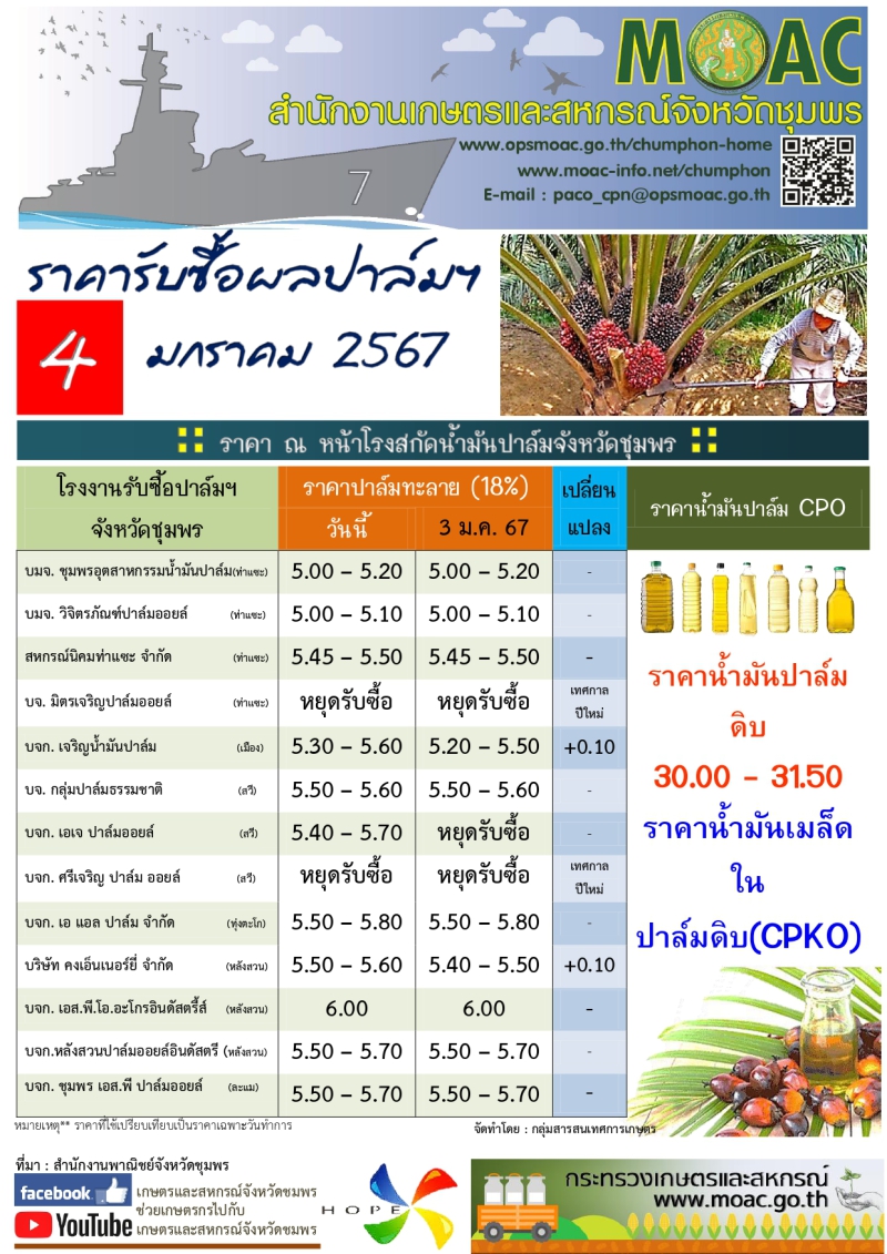 ราคารับซื้อผลปาล์มน้ำมัน ประจำวันที่ 4 มกราคม 2567