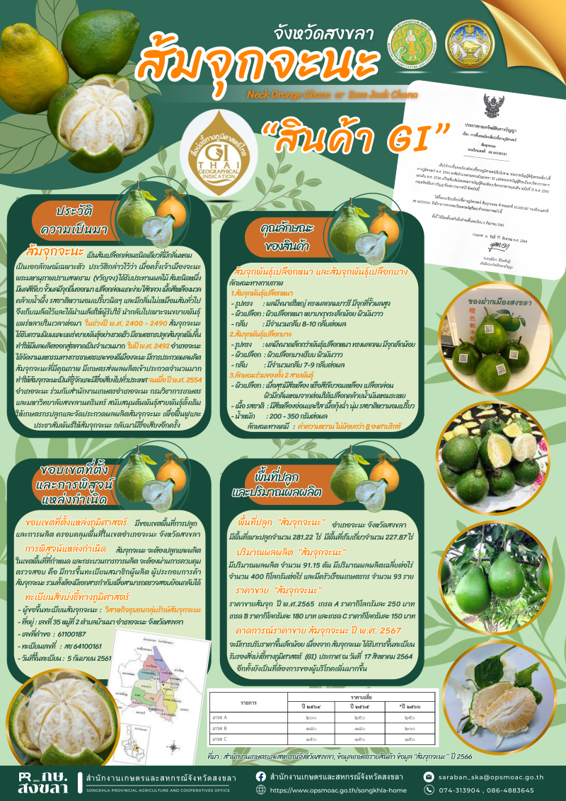 บทความ “ส้มจุกจะนะ สินค้า GI” จังหวัดสงขลา