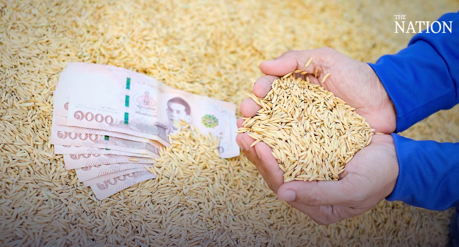 Thailand set to surpass 2023 rice export target as November figures surge