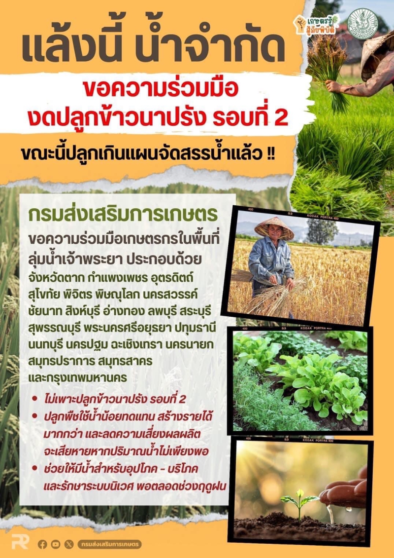 แล้งนี้น้ำจำกัดขอความร่วมมืองดปลูกข้าวนาปรัง