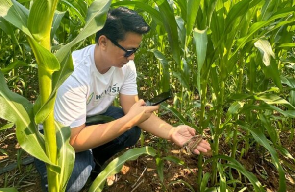 BANGKOK PRODUCE STARTS CORN TRACEABILITY SYSTEM THIRD-PARTY ASSESSMENT