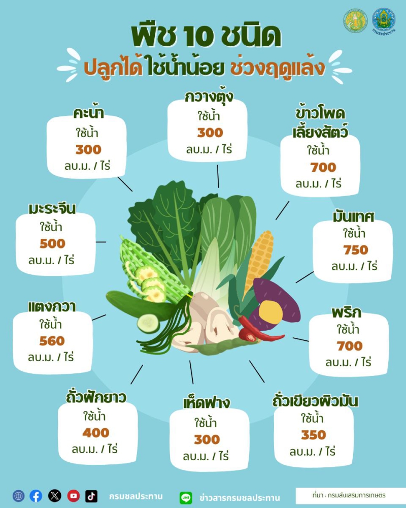 ฤดูแล้งนี้มีลิสต์พืชที่ปลูกได้โดยใช้น้ำน้อย