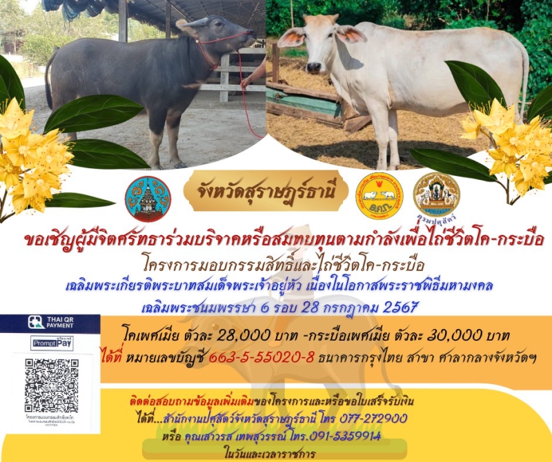 จังหวัดสุราษฎร์ธานี
