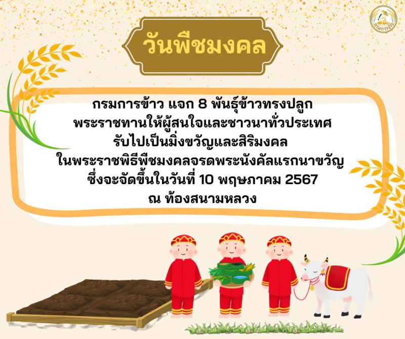 กรมการข้าวเตรียมแจก8พันธุ์ข้าวทรงปลูกพระราชทาน