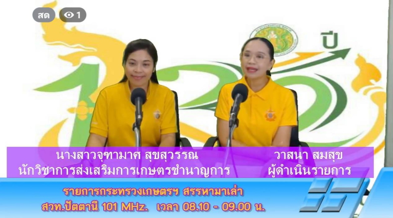 วันจันทร์ที่20พฤษภาคม2567สำนักงานเกษตรและสหกรณ์จังหวัดปัตตานี