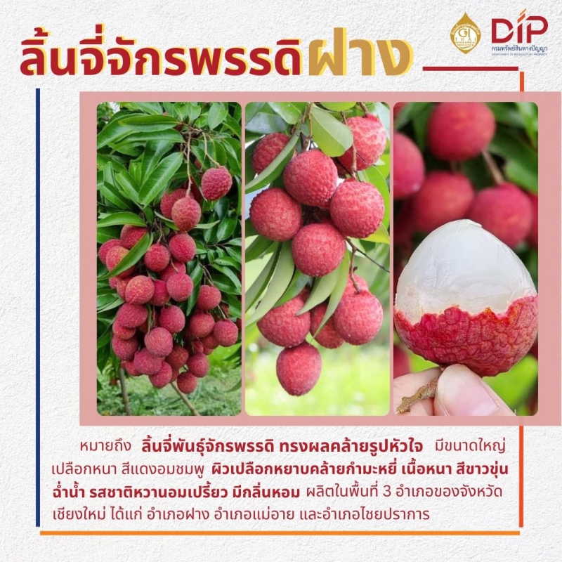 กรมทรัพย์สินทางปัญญา