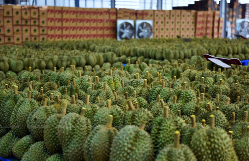 Thailand’s exports surge in May with agricultural products