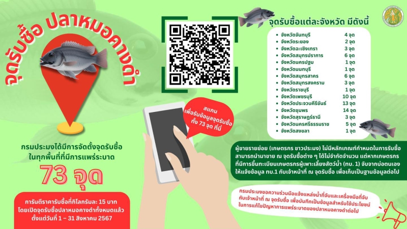 จุดรับซื้อปลาหมอคางดำ 73 จุด
