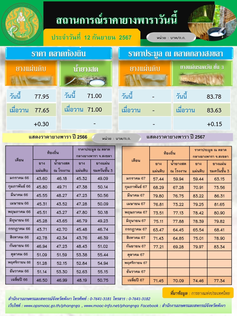 สถานการณ์ราคายางพารา ประจำวันที่ 12 กันยายน 2567