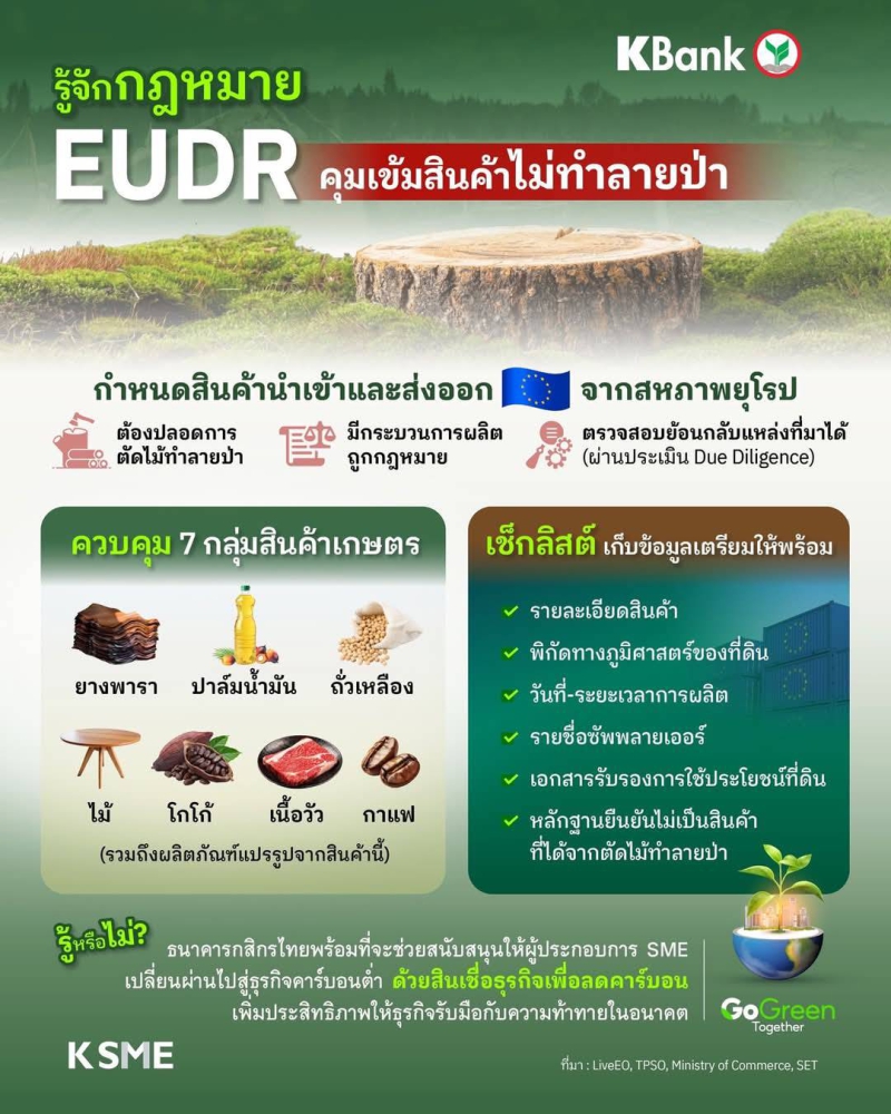 ยุโรปเอาจริง!ด้วยกฎหมายEUDR(EUDeforestationRegulation)เพื่อปกป้องป่าไม้โลก
