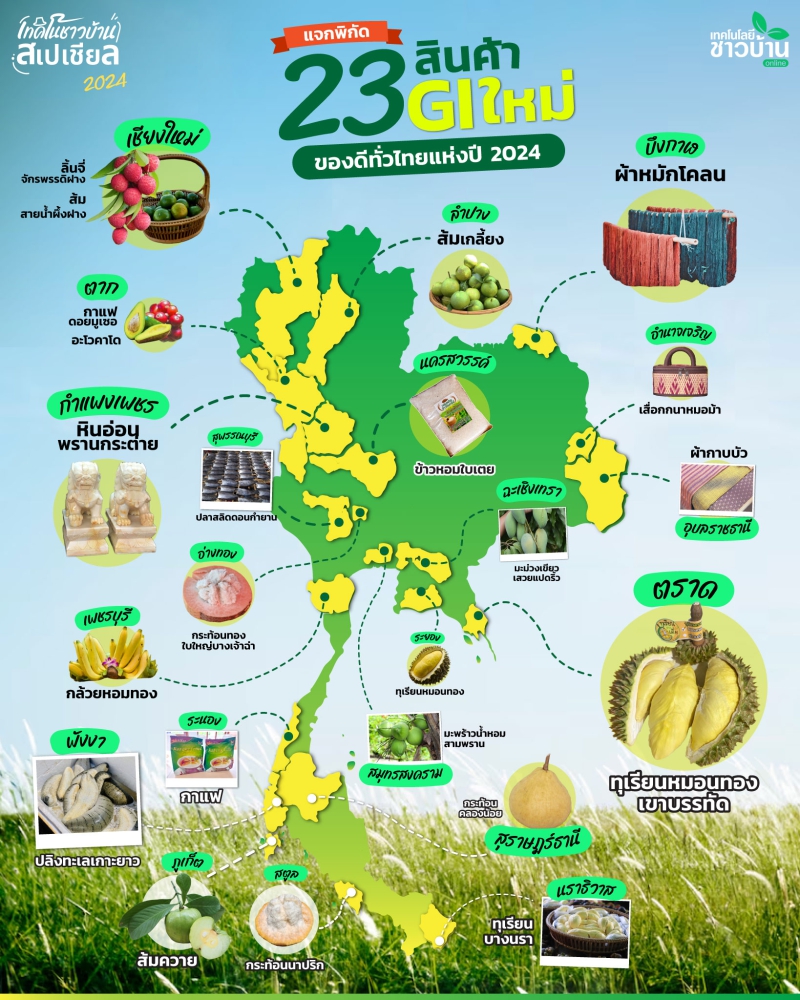 ผลิตภัณฑ์ GI ที่น่าสนใจ ในปี 2568