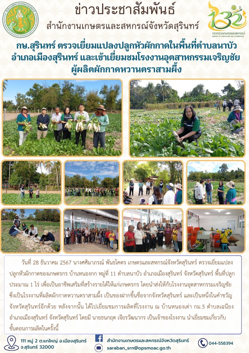 กษ.สุรินทร์ตรวจเยี่ยมแปลงปลูกหัวผักกาดในพื้นที่ตำบลนาบัว