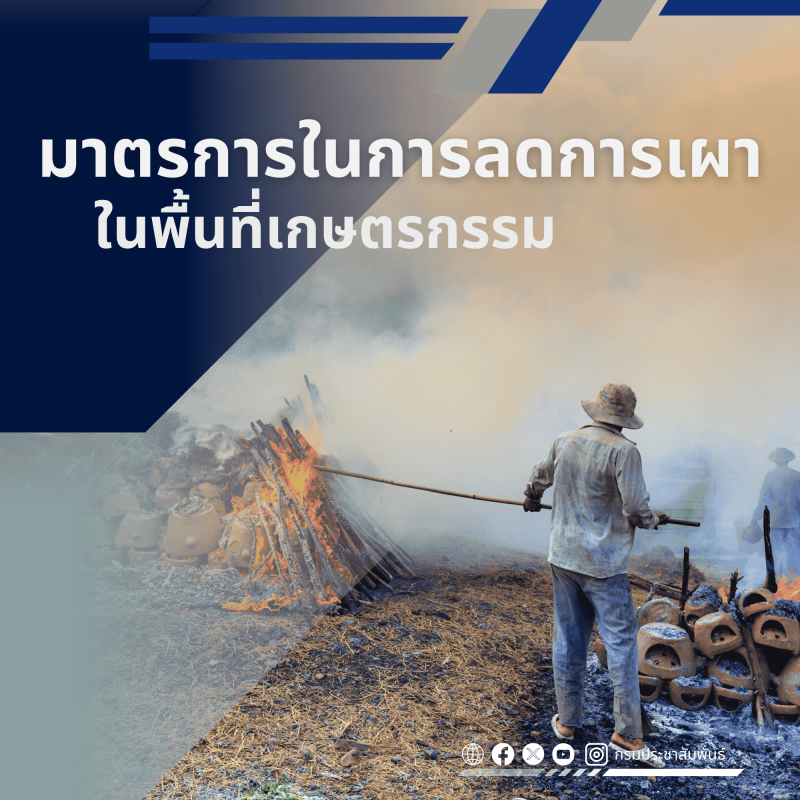 มาตรการในการลดการเผาในพื้นที่เกษตรกรรม