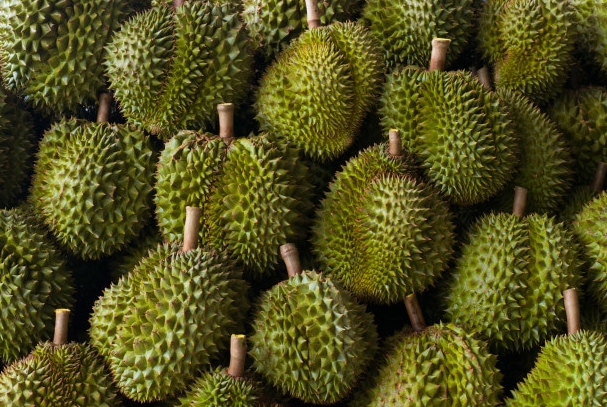 SetZero!ก.เกษตรฯเร่งวางมาตรการใหม่เข้มคุณภาพ-ความปลอดภัย