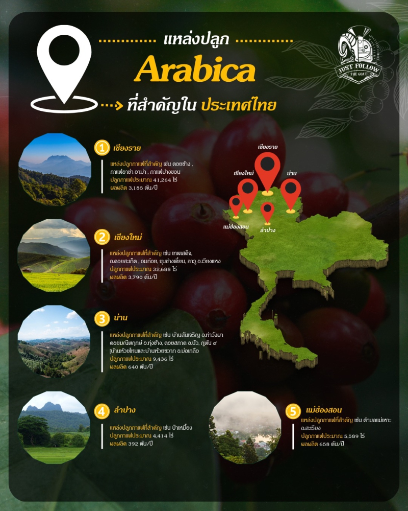แหล่งปลูก Arabica ในประเทศไทย ที่สำคัญ มีที่ไหนบ้าง
