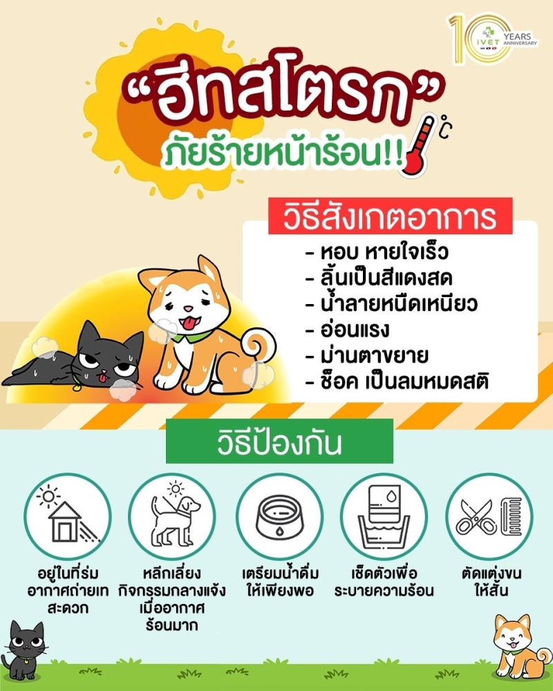 ฮีทสโตรก ภัยร้ายหน้าร้อน !!!