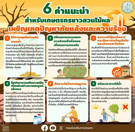 6คำแนะนำสำหรับเกษตรกรชาวสวนผลไม้