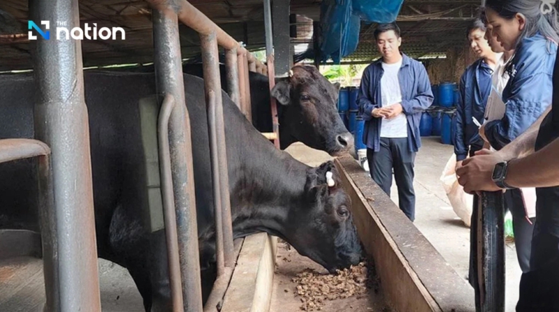 Durian peel as high-quality animal feed for the BCG Economy