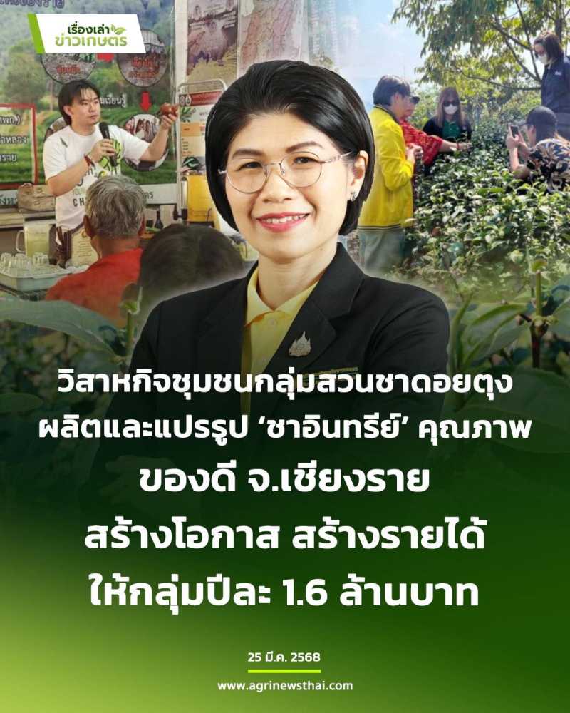 วิสาหกิจชุมชนกลุ่มสวนชาดอยตุง