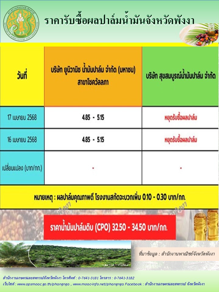 ราคารับซื้อผลปาล์มน้ำมันจังหวัดพังงา