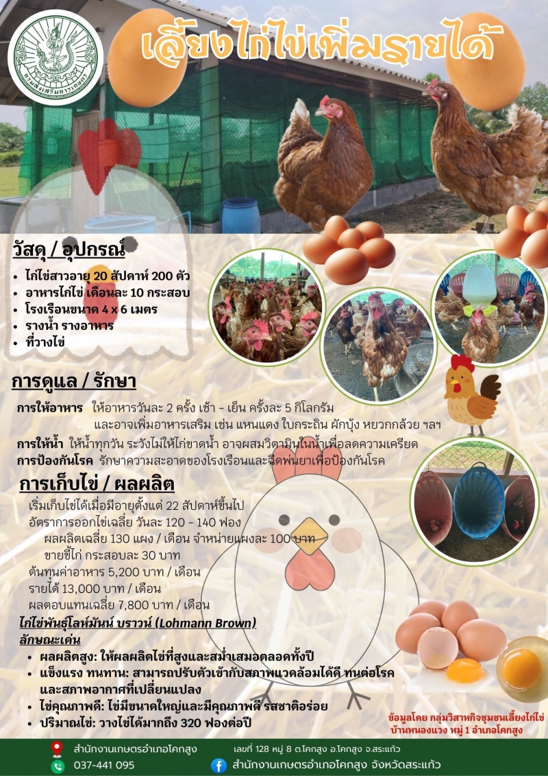 เลี้ยงไก่ไข่เพิ่มรายได้