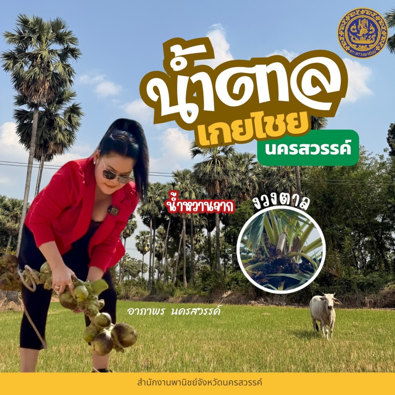 น้ำตาลเกยไชย (สินค้าว่าที่ GI)